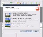 FlashDemo Screen Recorder 2.28